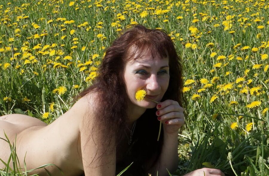 On medow full of yellow flowers