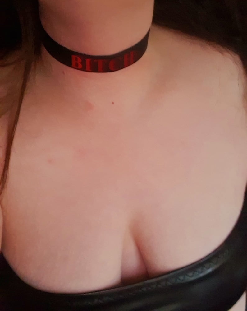 Pet play