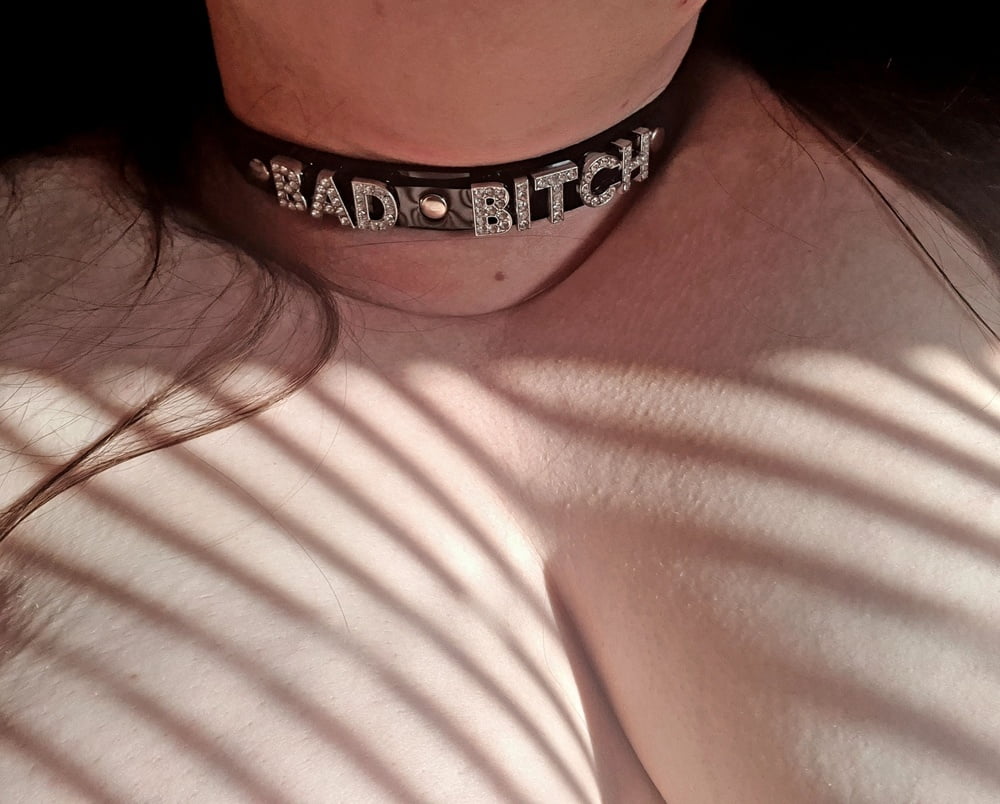 Pet play