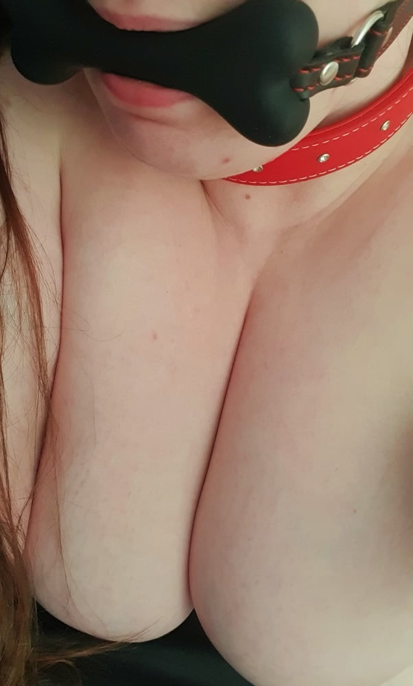 Pet play
