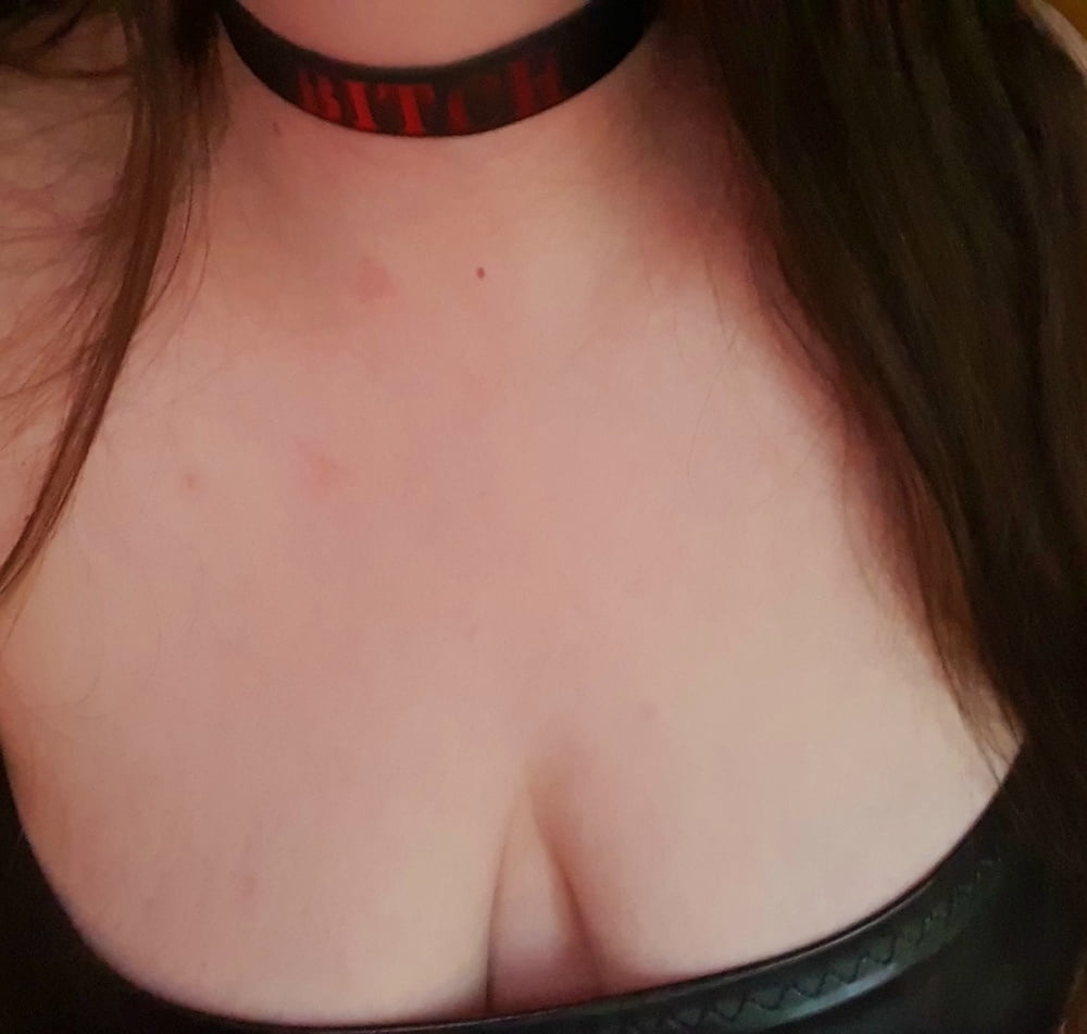 Pet play