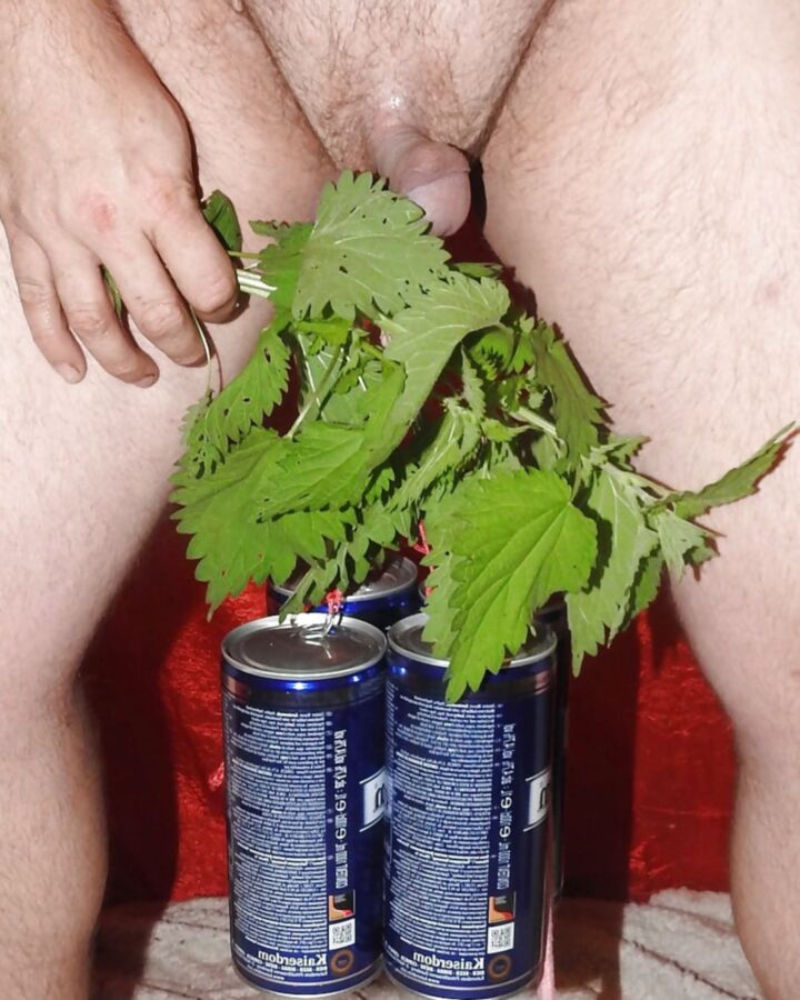 CBT Kaiserdom &amp; Nettle