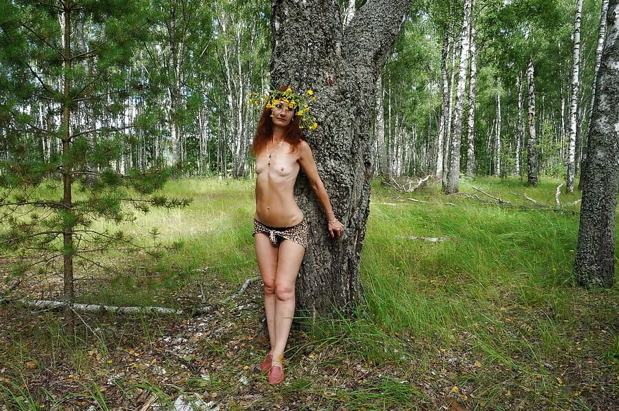 Circlet of flowers and Birch