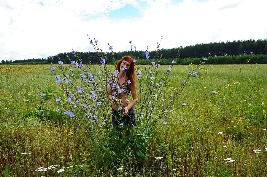 In spring Field