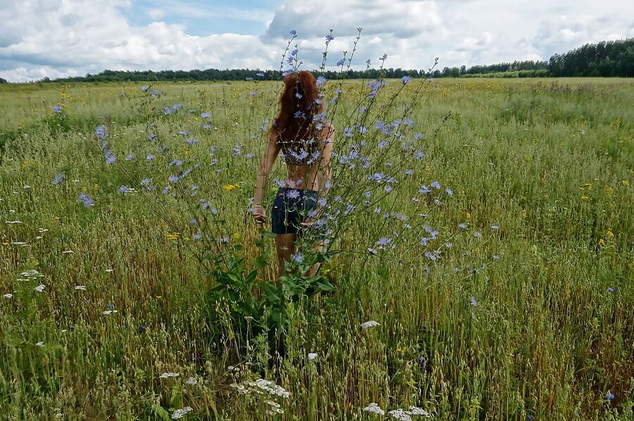 In spring Field