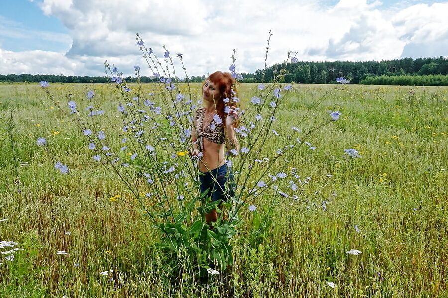 In spring Field