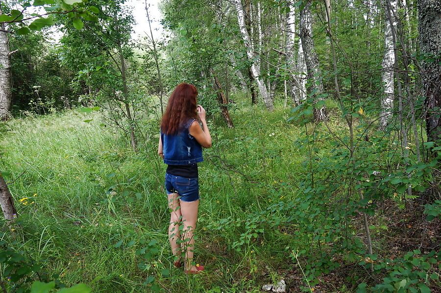 In birch Forest