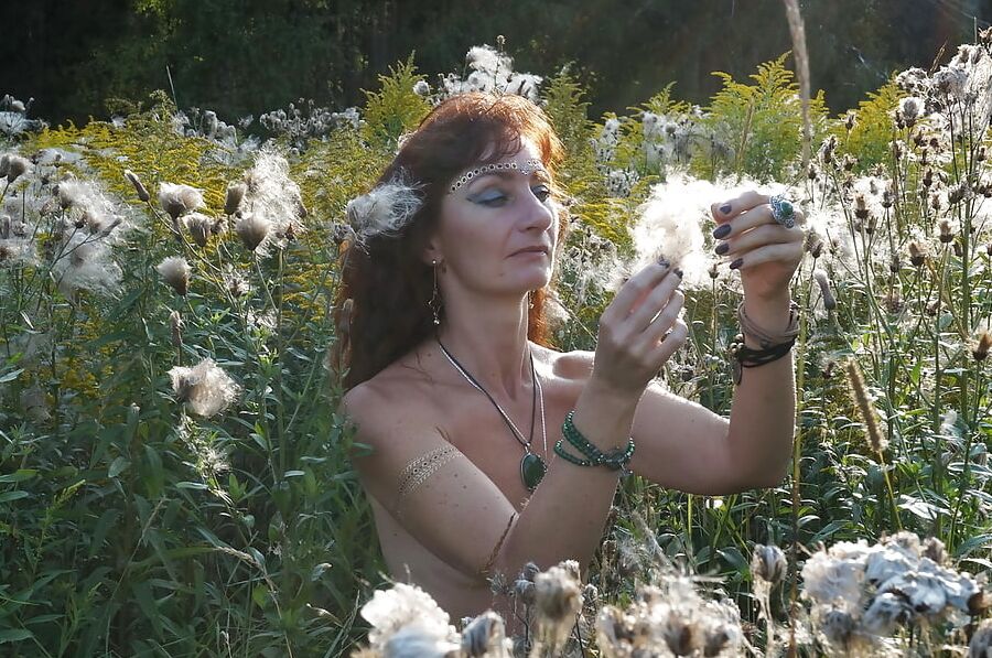 In Evening field