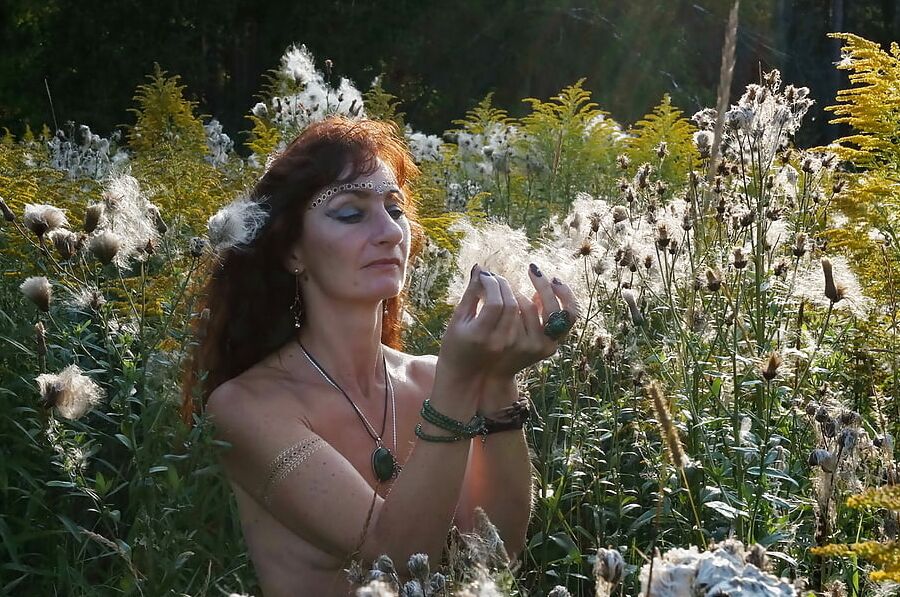 In Evening field
