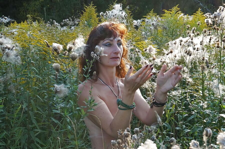 In Evening field