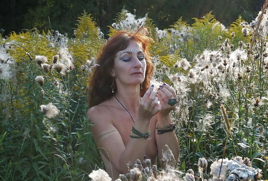 In Evening field