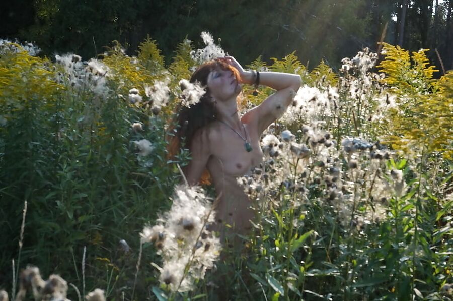 In Evening field