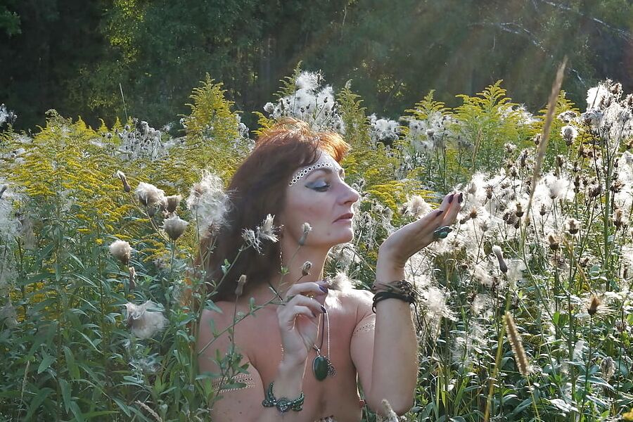 In Evening field