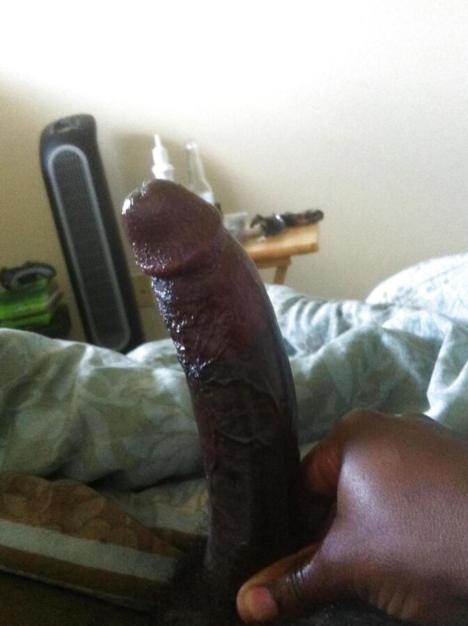 My dick gallery