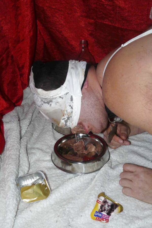 sissy-doggie eat dogfood for Mistress Celine