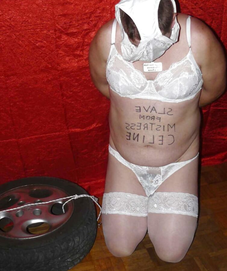 cbt wheels for Mistress Celine