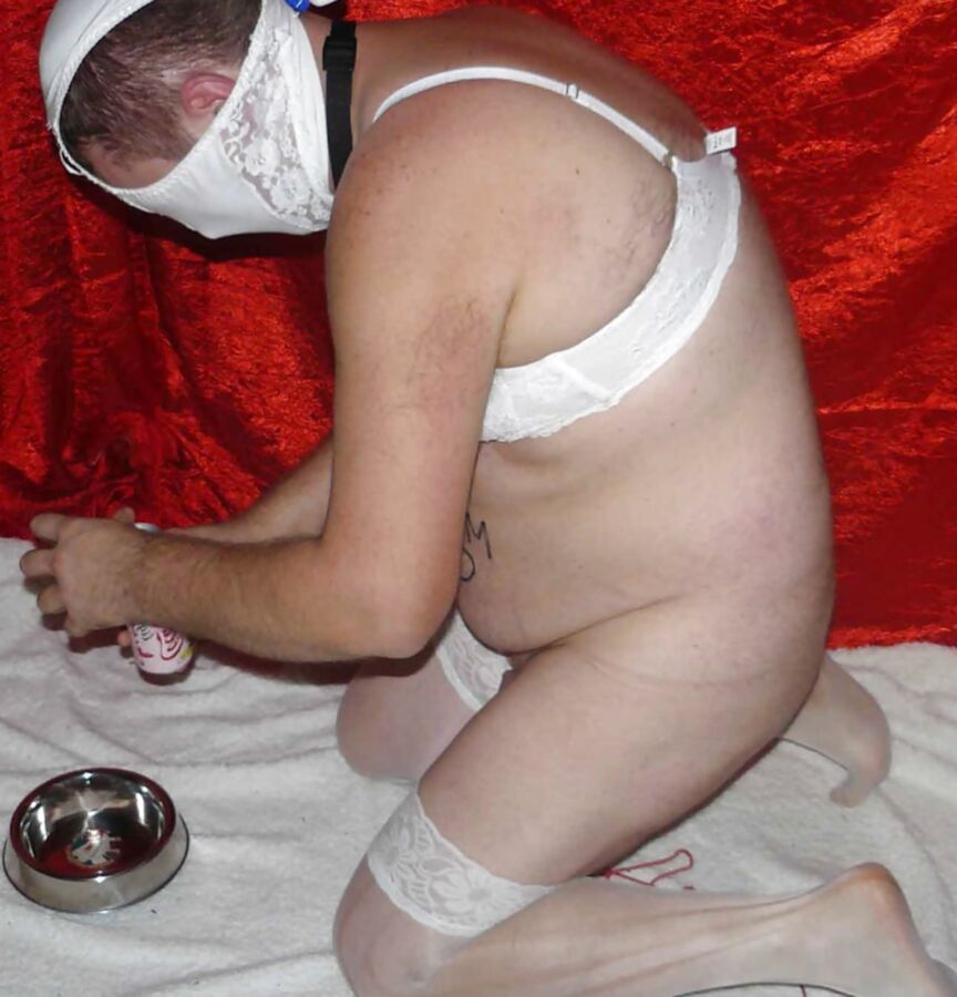 sissy-doggie drink for Mistress Celine