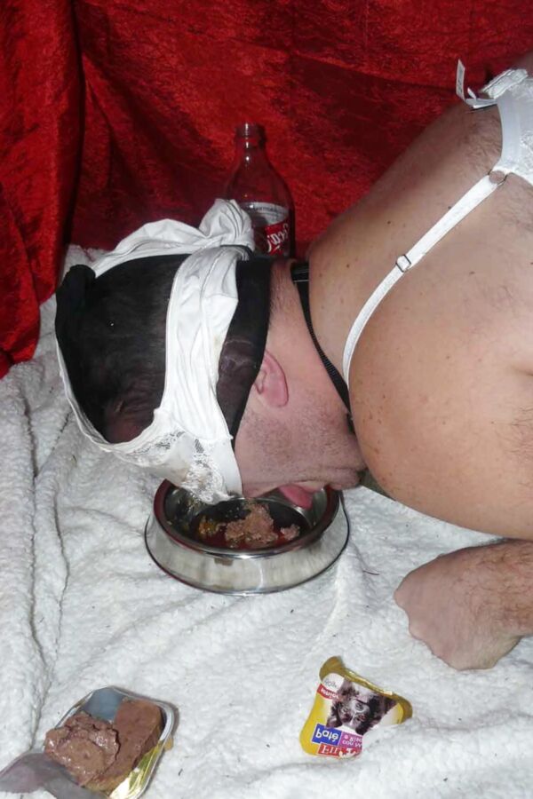 sissy-doggie eat dogfood for Mistress Celine