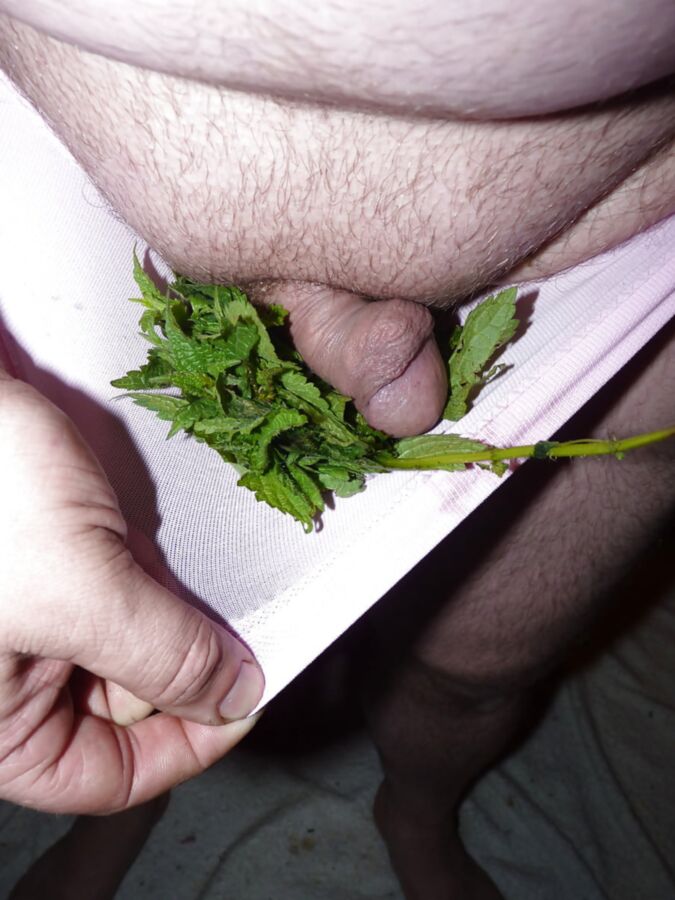 Nettle pain