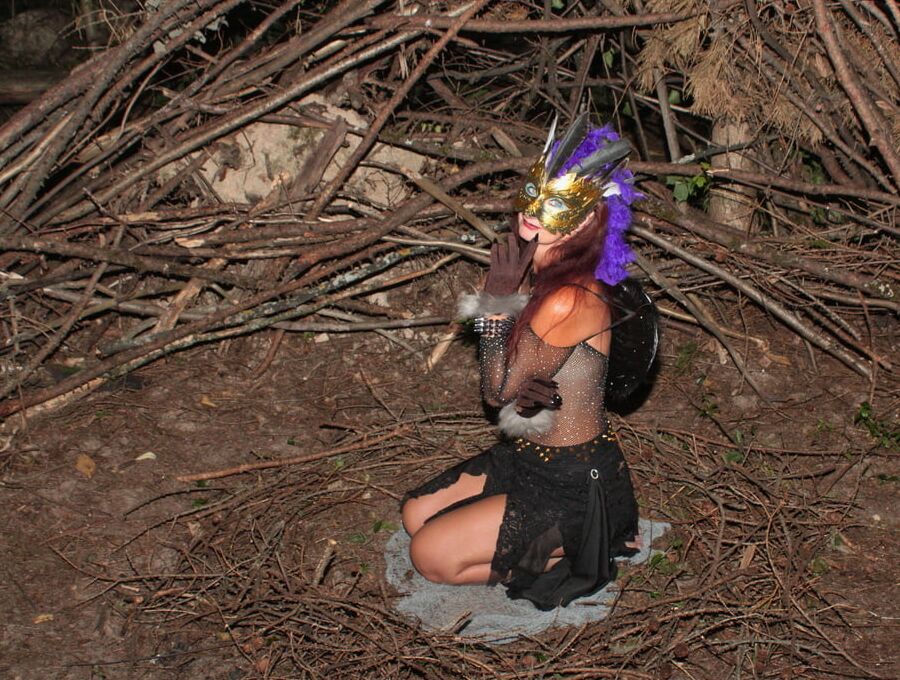 Bird 2