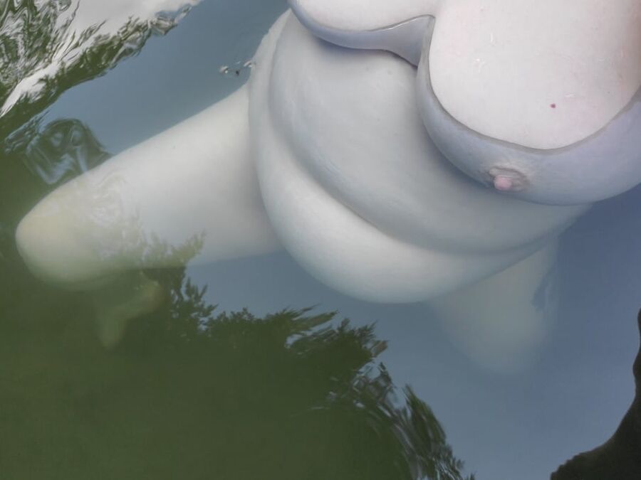 Lady of the lake