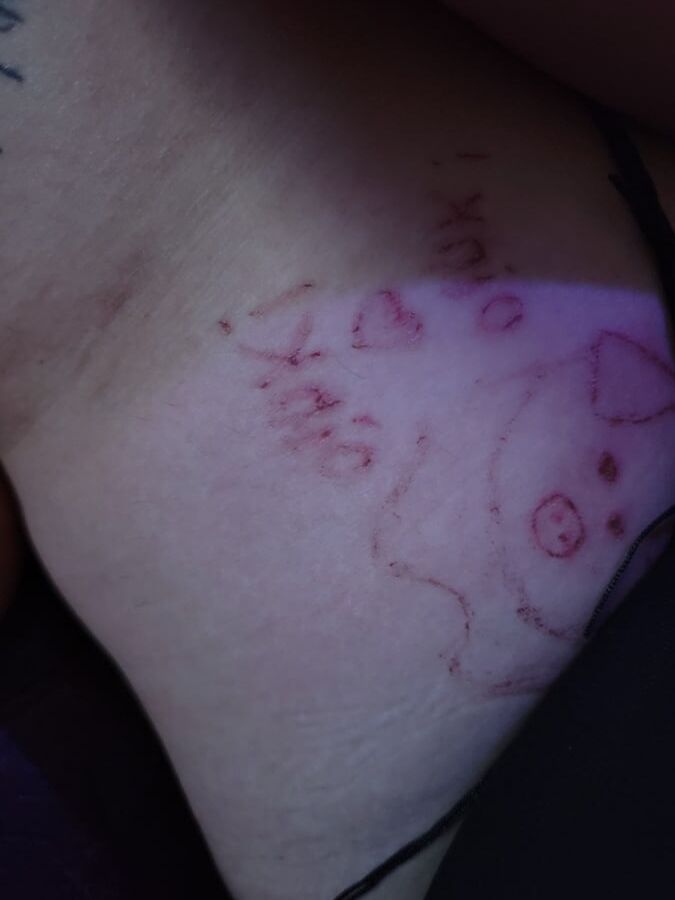 Pig