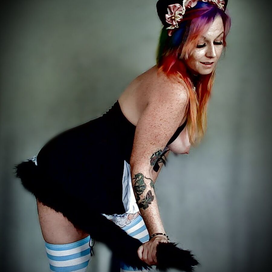 Kitten Maid