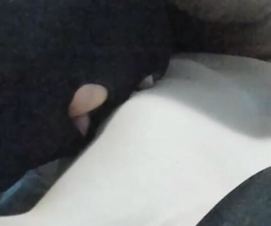 Angel's beautiful little tits