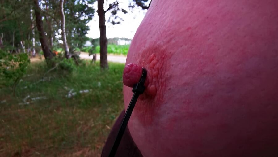 Painful using her nipples in public