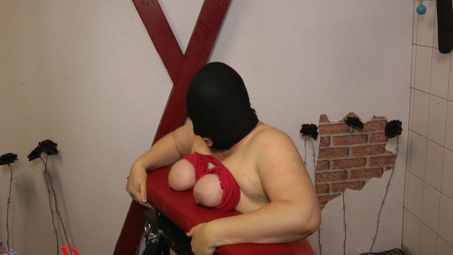 Big Tits on the box