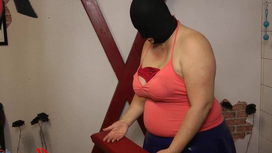 Big Tits on the box