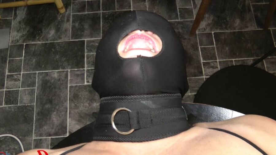 BDSM - cling pussies