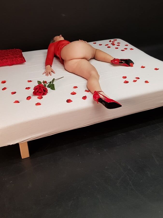 Red rose
