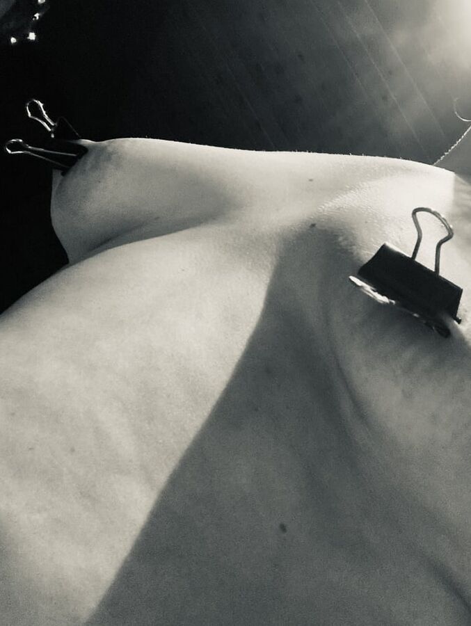 Clothespins 2022