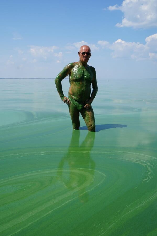 In green algae