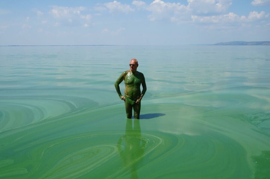In green algae