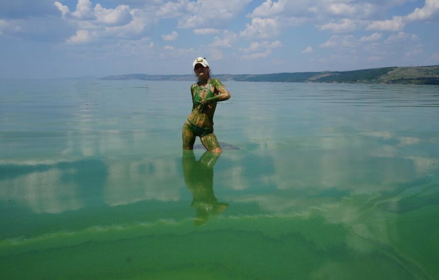 In green algae