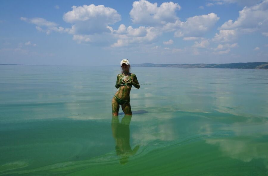 In green algae