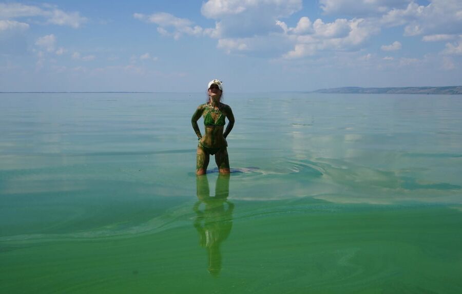 In green algae