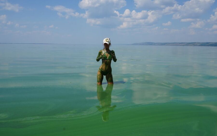 In green algae