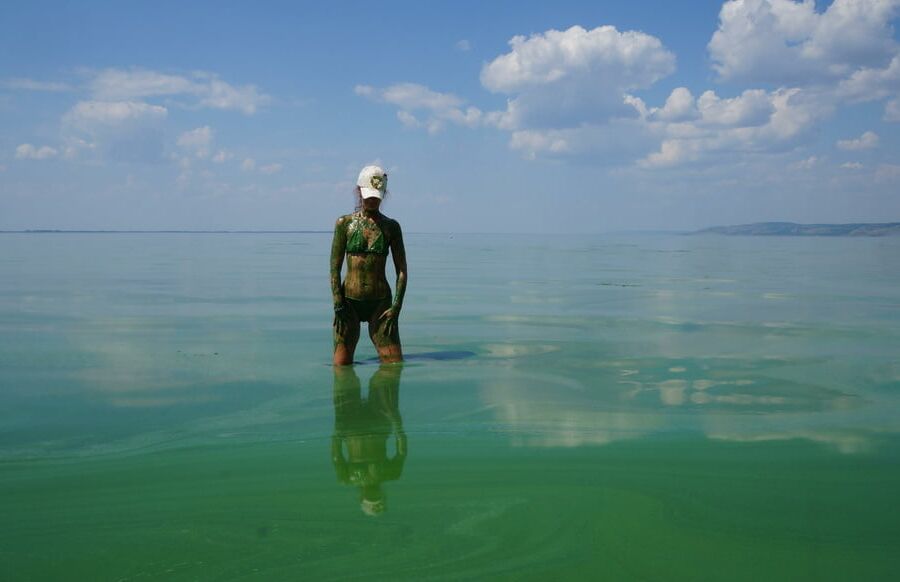 In green algae
