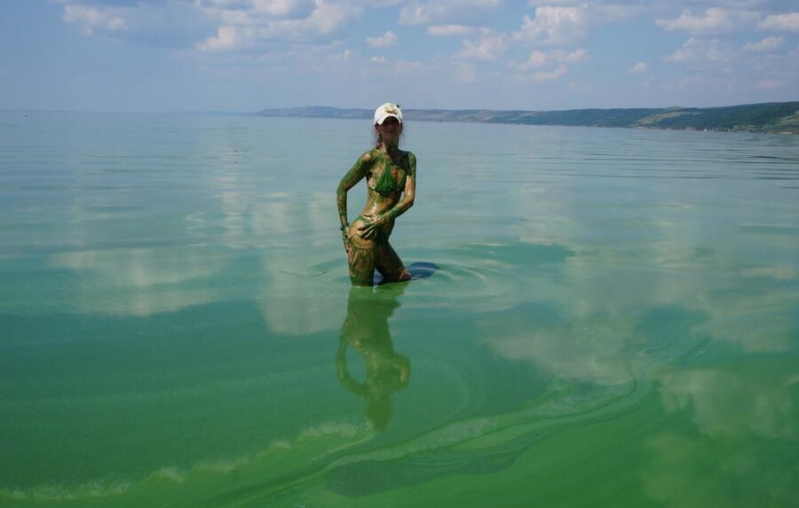 In green algae