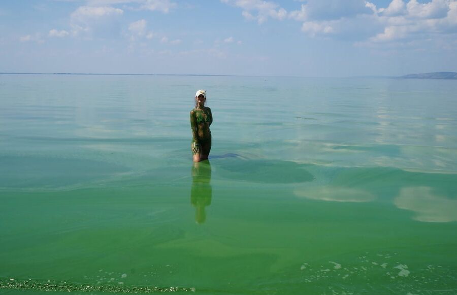 In green algae