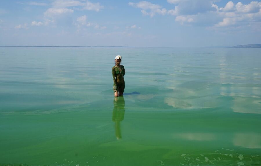 In green algae