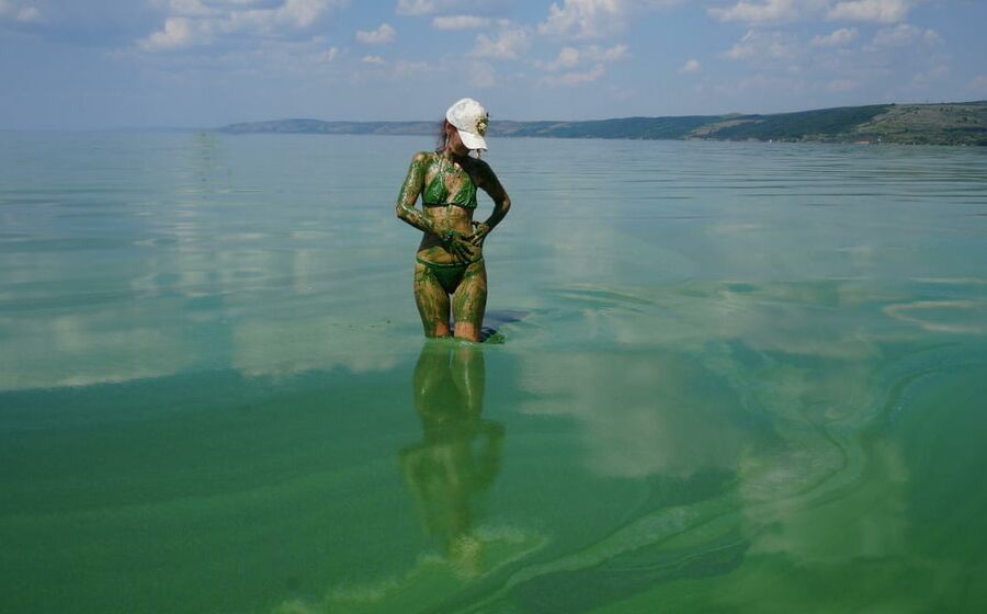 In green algae