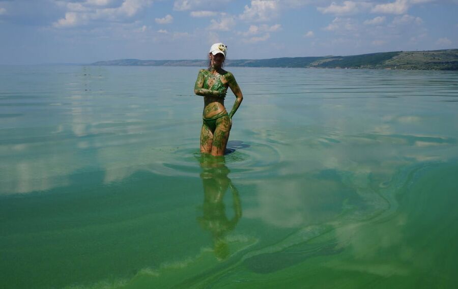 In green algae
