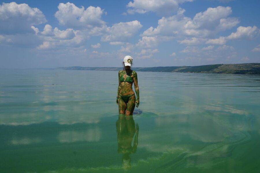 In green algae