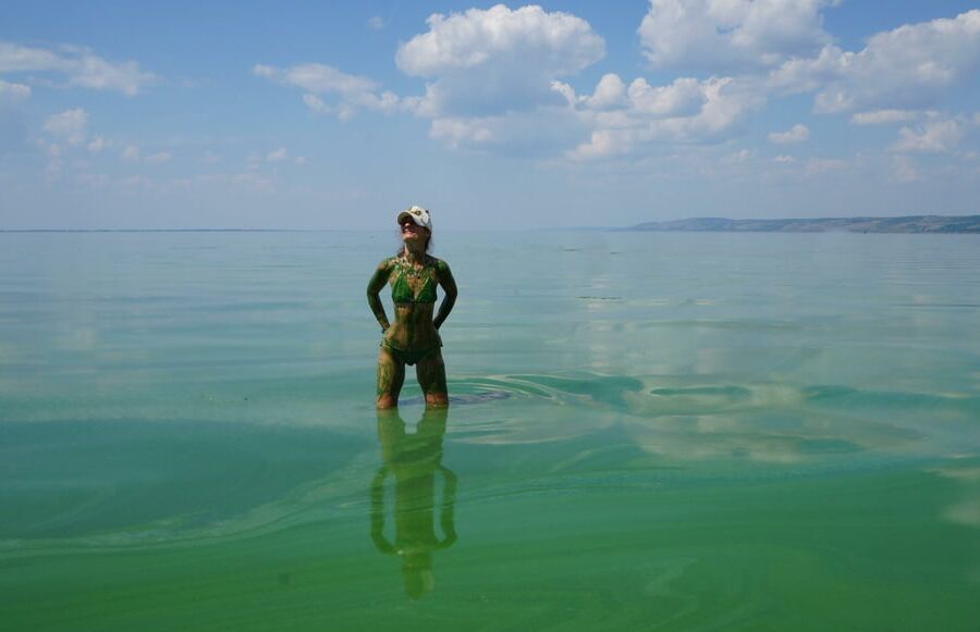 In green algae