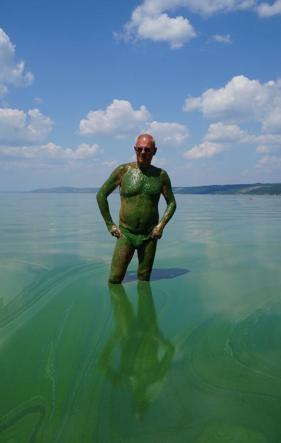 In green algae