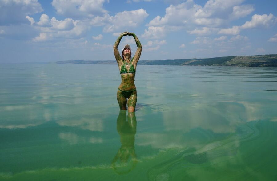 In green algae